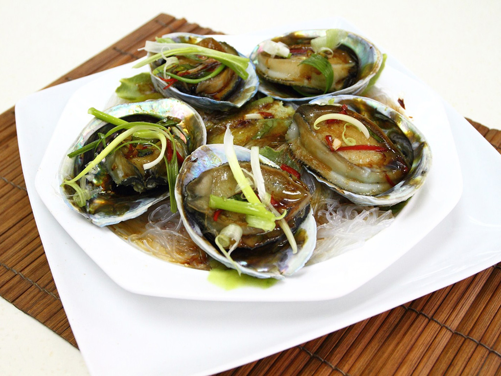 Blue Shell Abalone